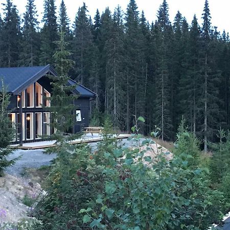 Lillebjorn Villa Trysil Exteriör bild