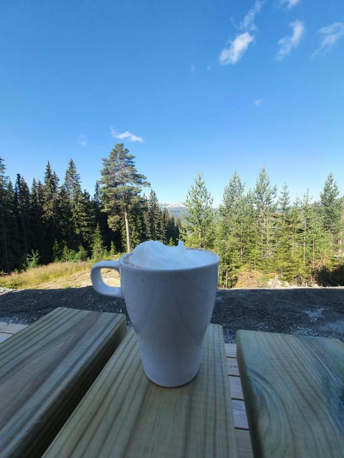 Lillebjorn Villa Trysil Exteriör bild