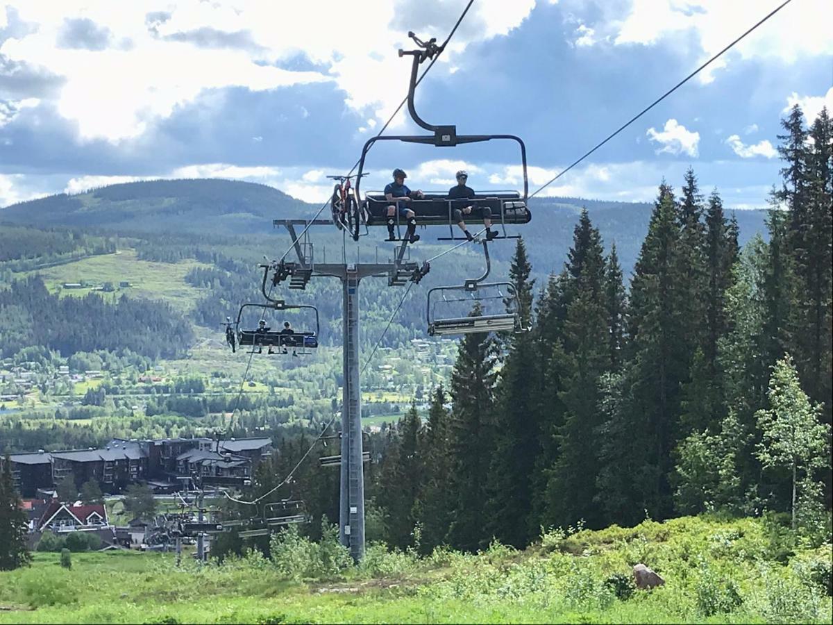 Lillebjorn Villa Trysil Exteriör bild