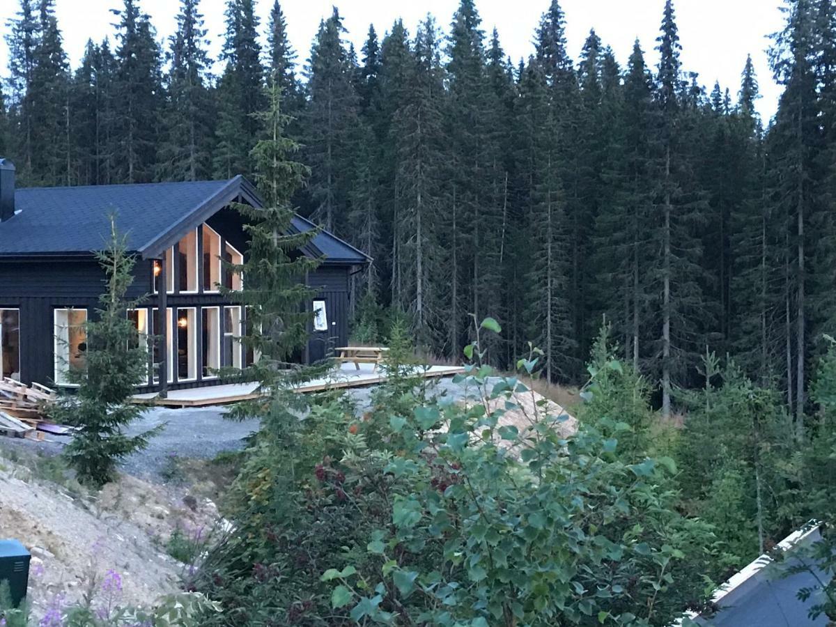 Lillebjorn Villa Trysil Exteriör bild
