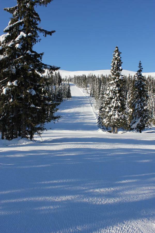 Lillebjorn Villa Trysil Exteriör bild