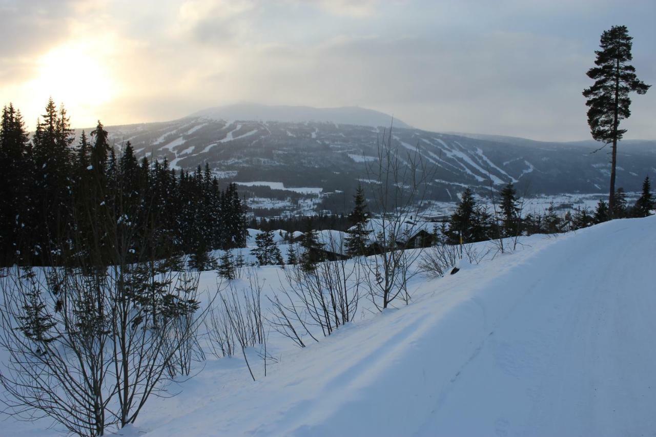 Lillebjorn Villa Trysil Exteriör bild